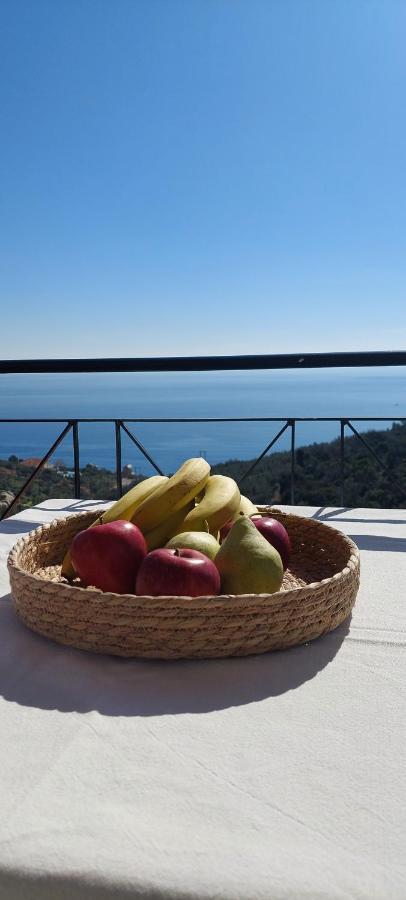 Apollo Romantic Sea View Villa Kivérion エクステリア 写真